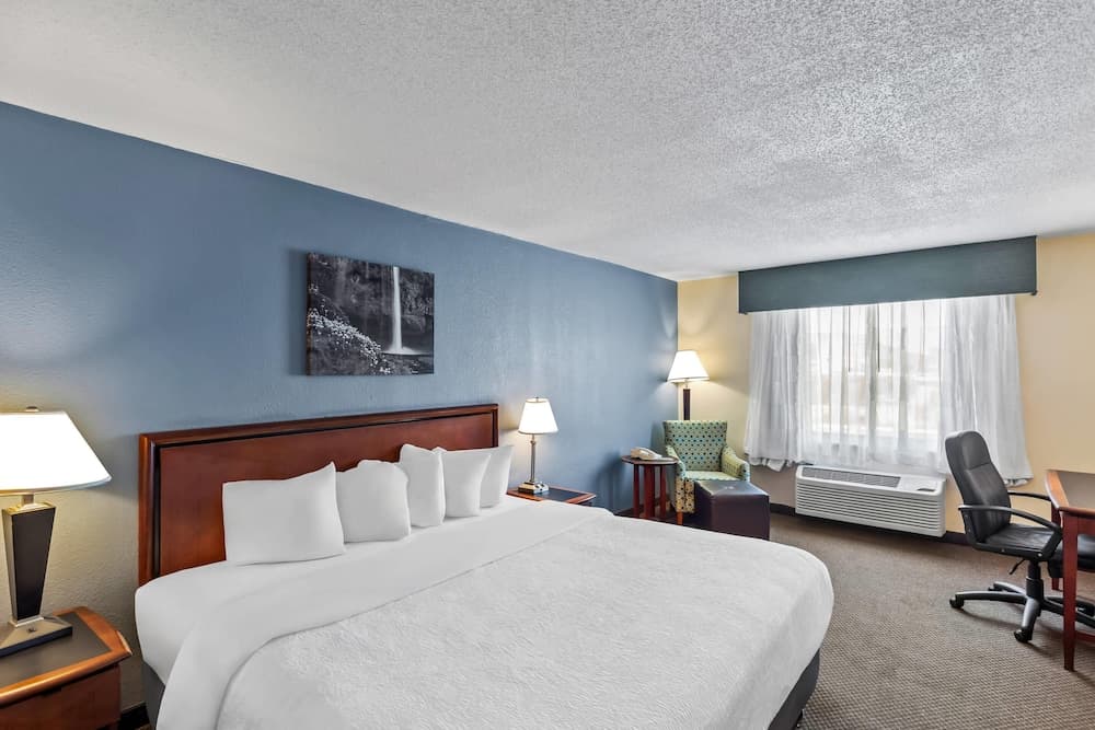 Rodeway Inn 4