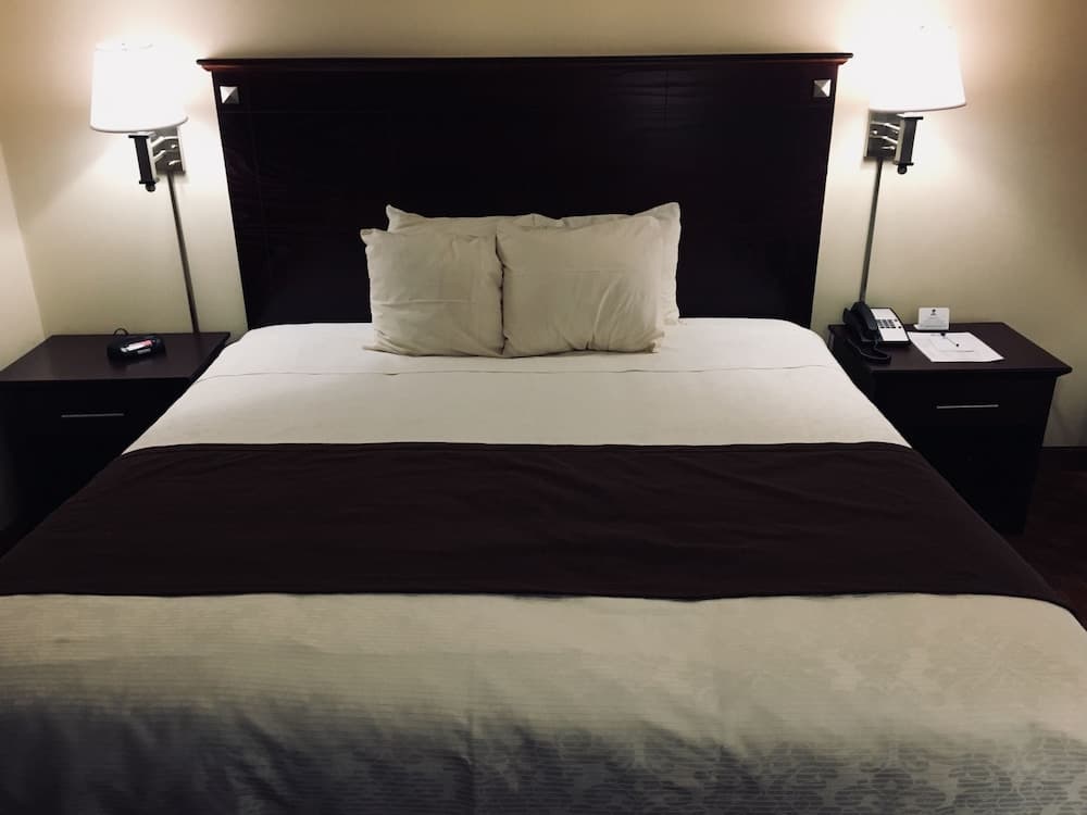 Best Western Bar Harbour Inn 5