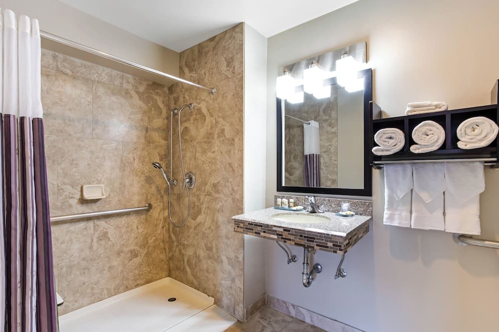 Best Western Plus Chicago Hillside 4
