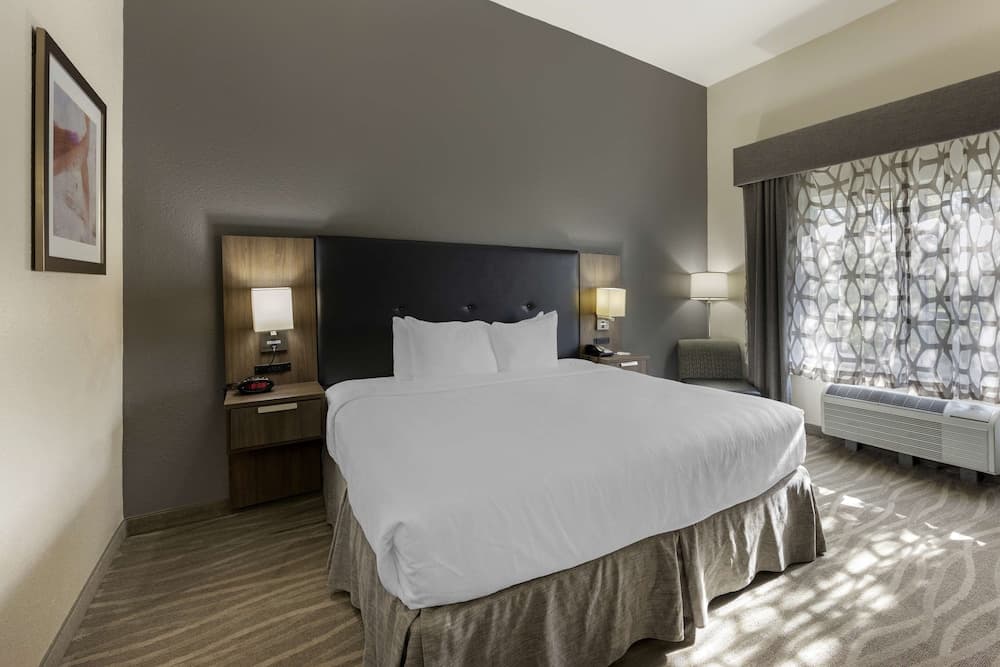 Best Western Plus Nashville Airport Hotel 4