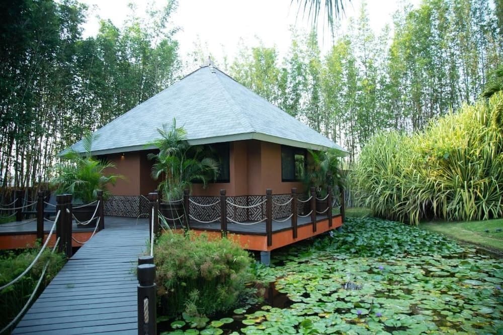 Soul Spring Sanctuary Cuernavaca 4