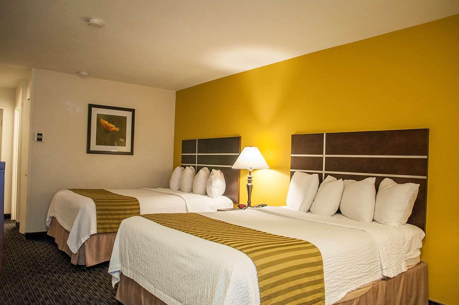 Best Western Village Inn 5