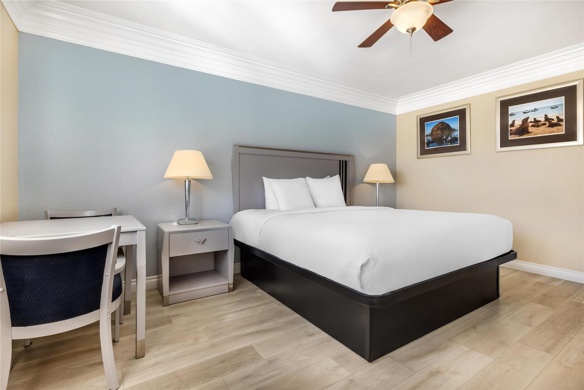 Best Western Tradewinds 3