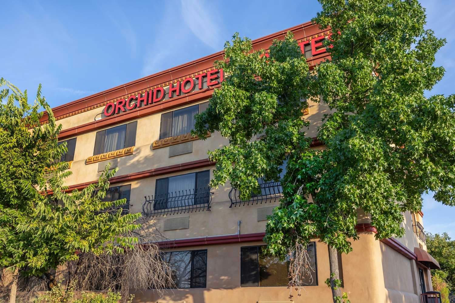 Best Western Plus Orchid Hotel & Suites 3