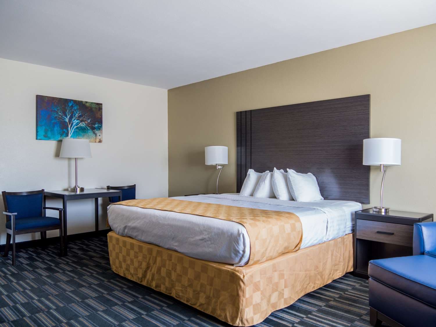 Best Western Alamosa Inn 4