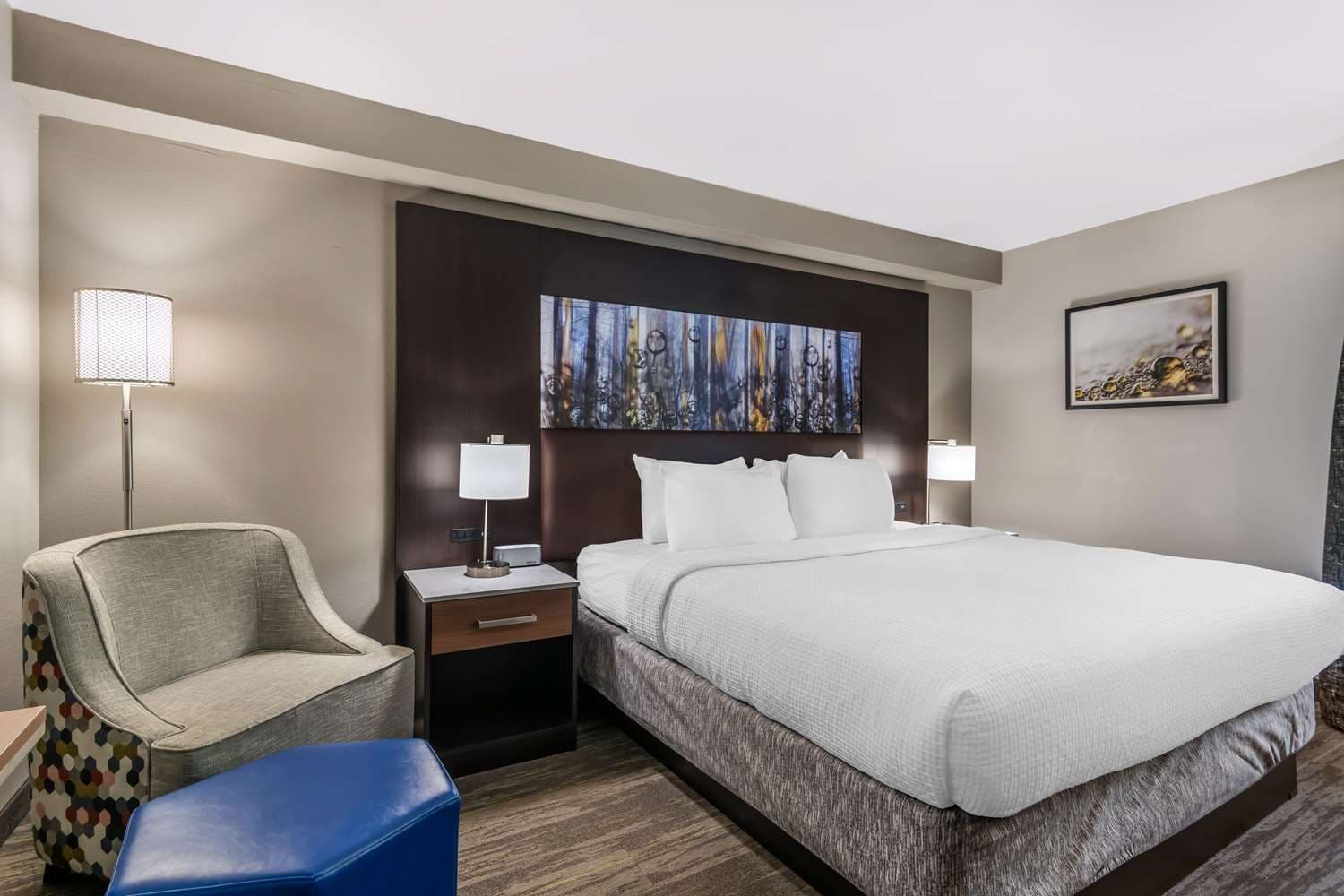 Best Western Atlanta-Marietta Ballpark Hotel 3