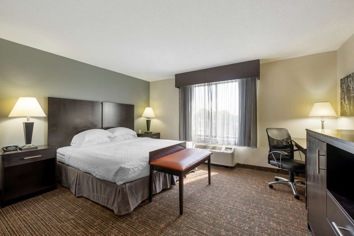 Best Western Plus Omaha Airport Inn 5
