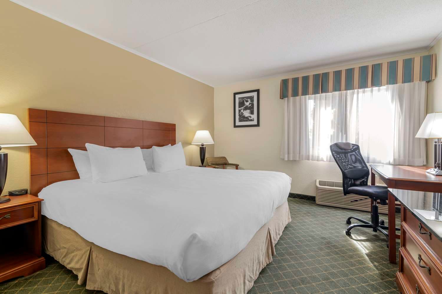 Best Western Plus Augusta Civic Center Inn 4