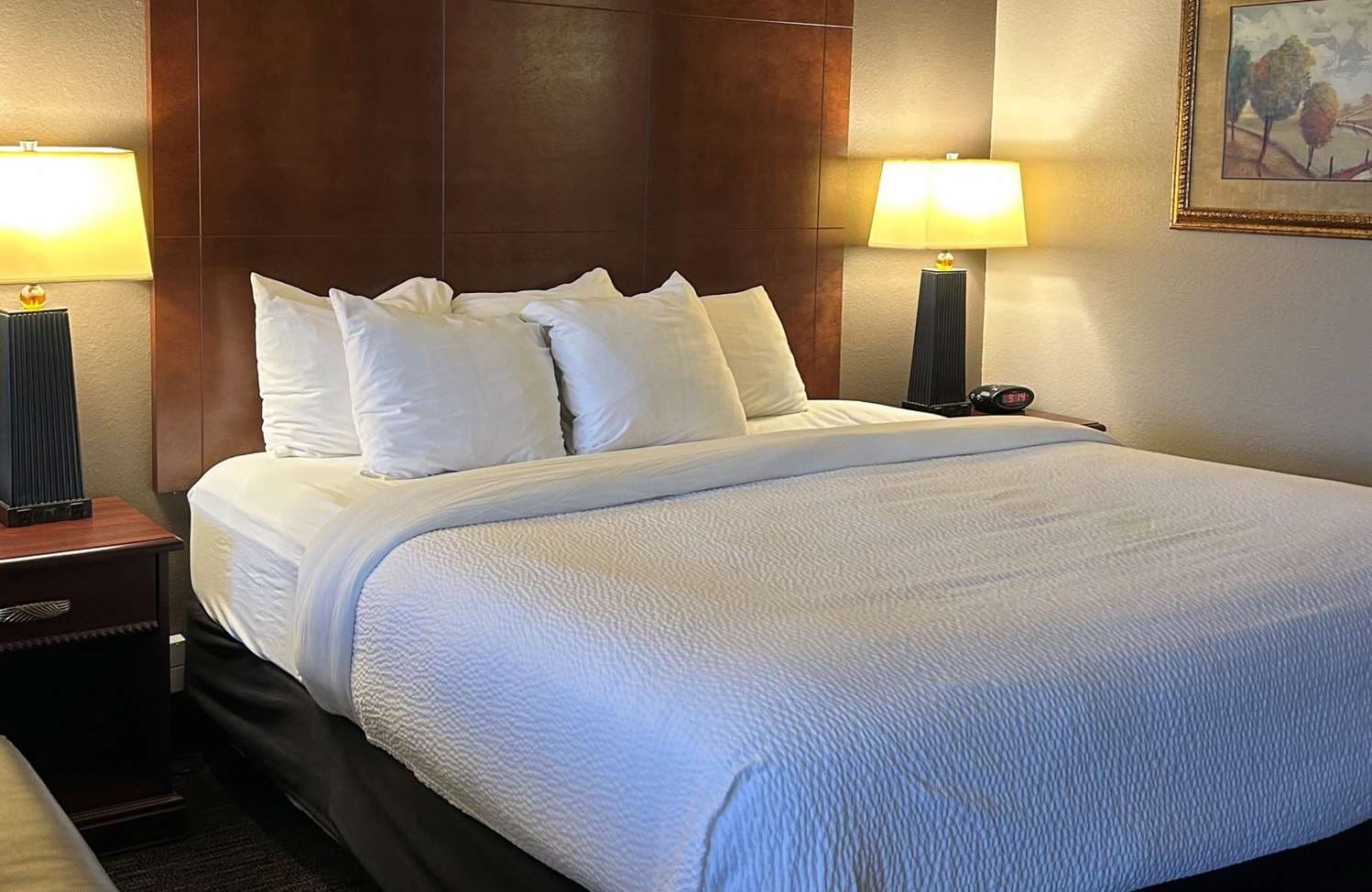 Best Western Plus Kelly Inn 4