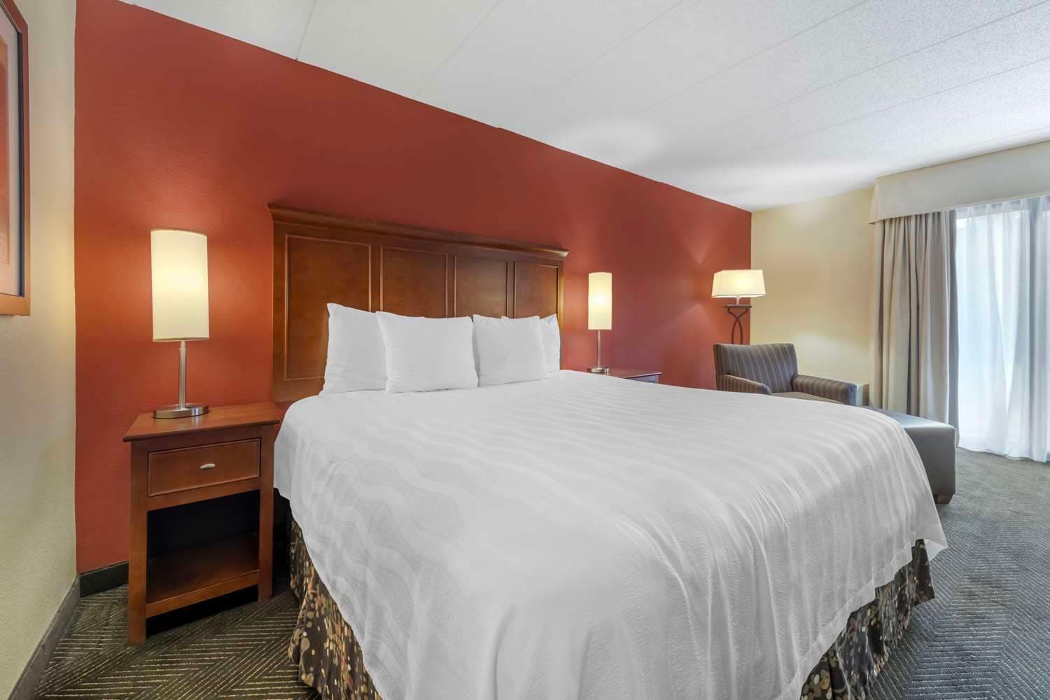 Best Western Plus St. Paul North/Shoreview 5