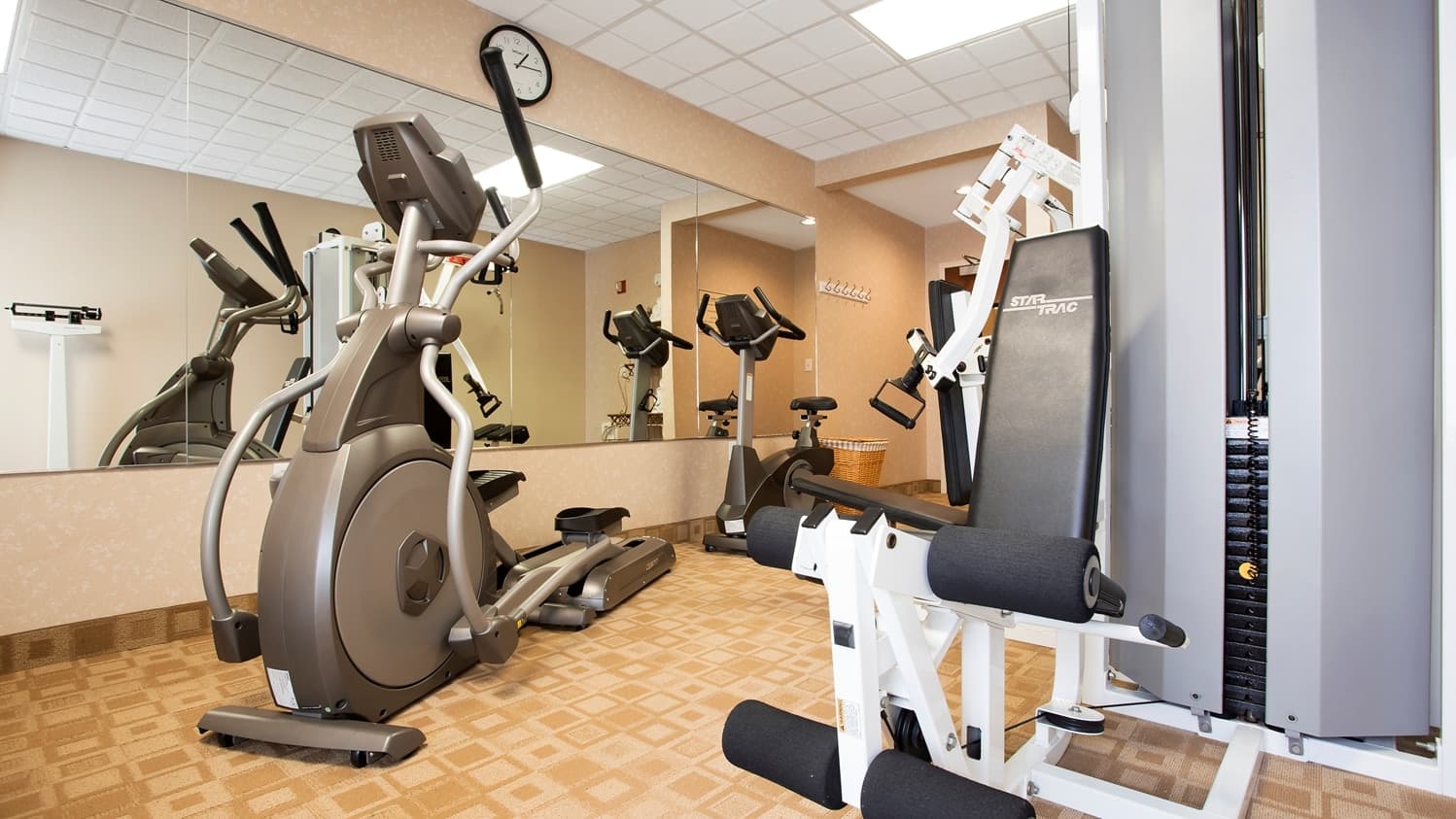 Best Western Plus Edison Inn 5