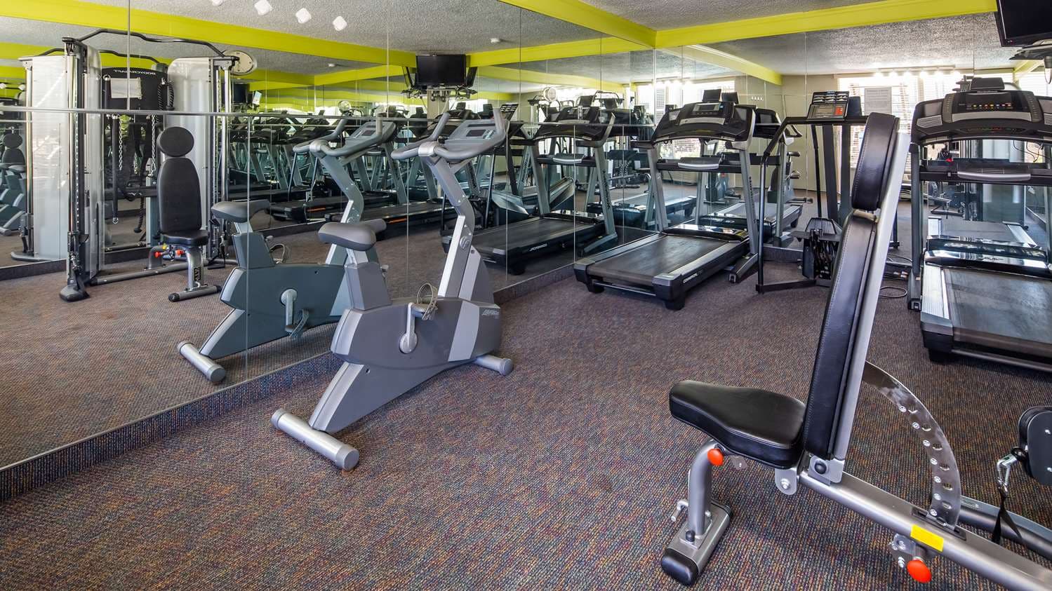 Best Western Greenville Airport Inn 5