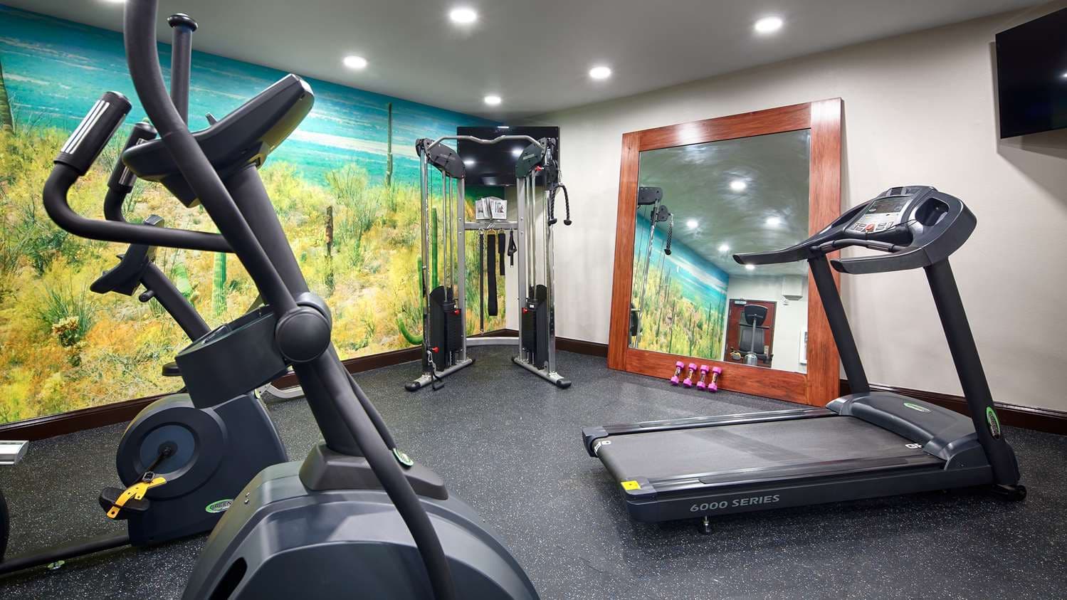Best Western Plus Hardeeville Inn & Suites 5