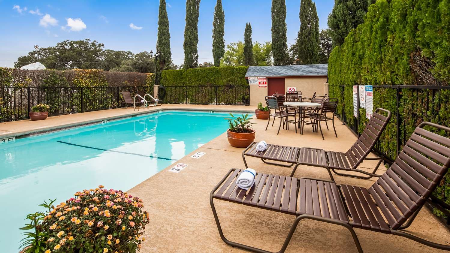 Best Western Johnson City Inn 3