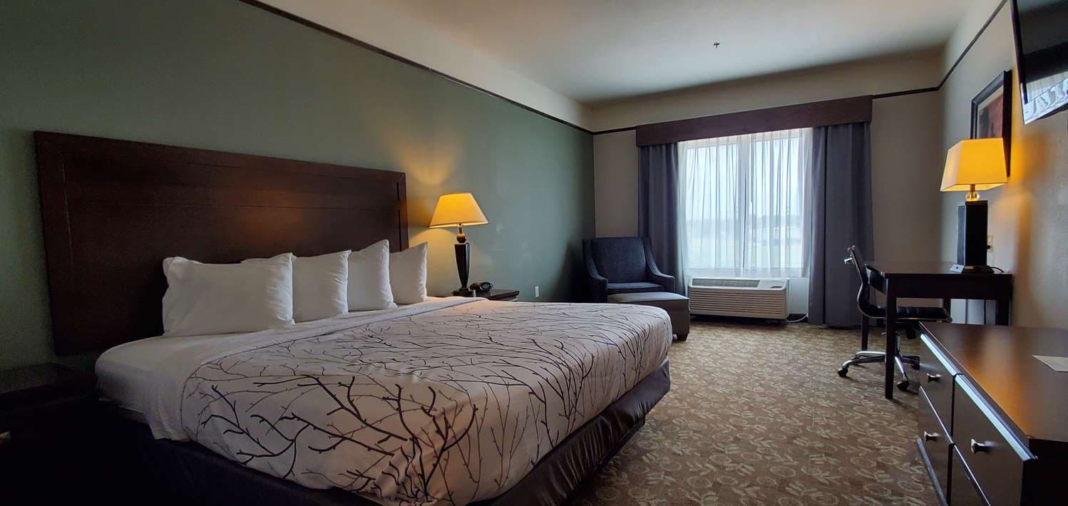 Best Western Plus Emory At Lake Fork Inn & Suites 3