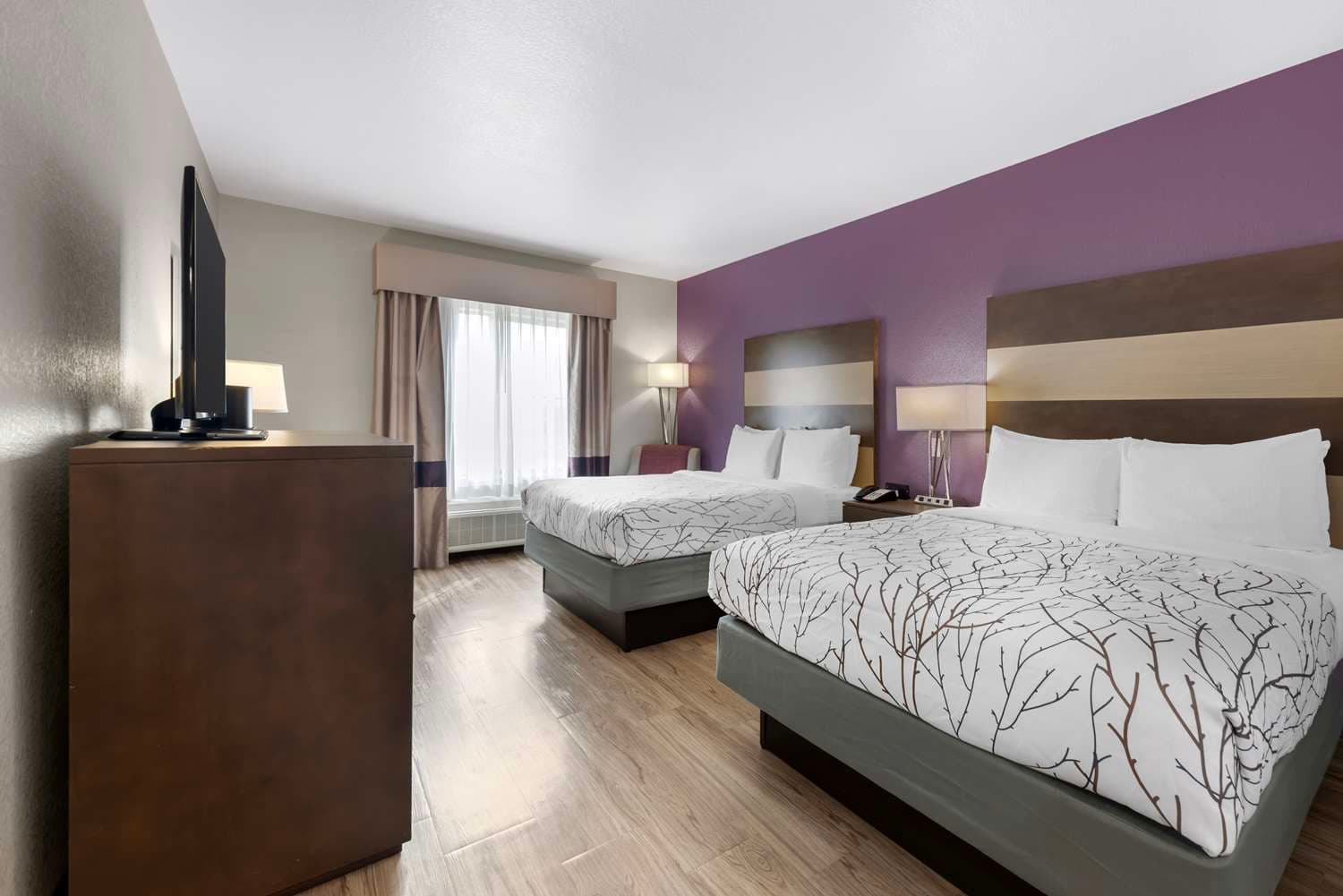Best Western Plus Buda Austin Inn & Suites 4