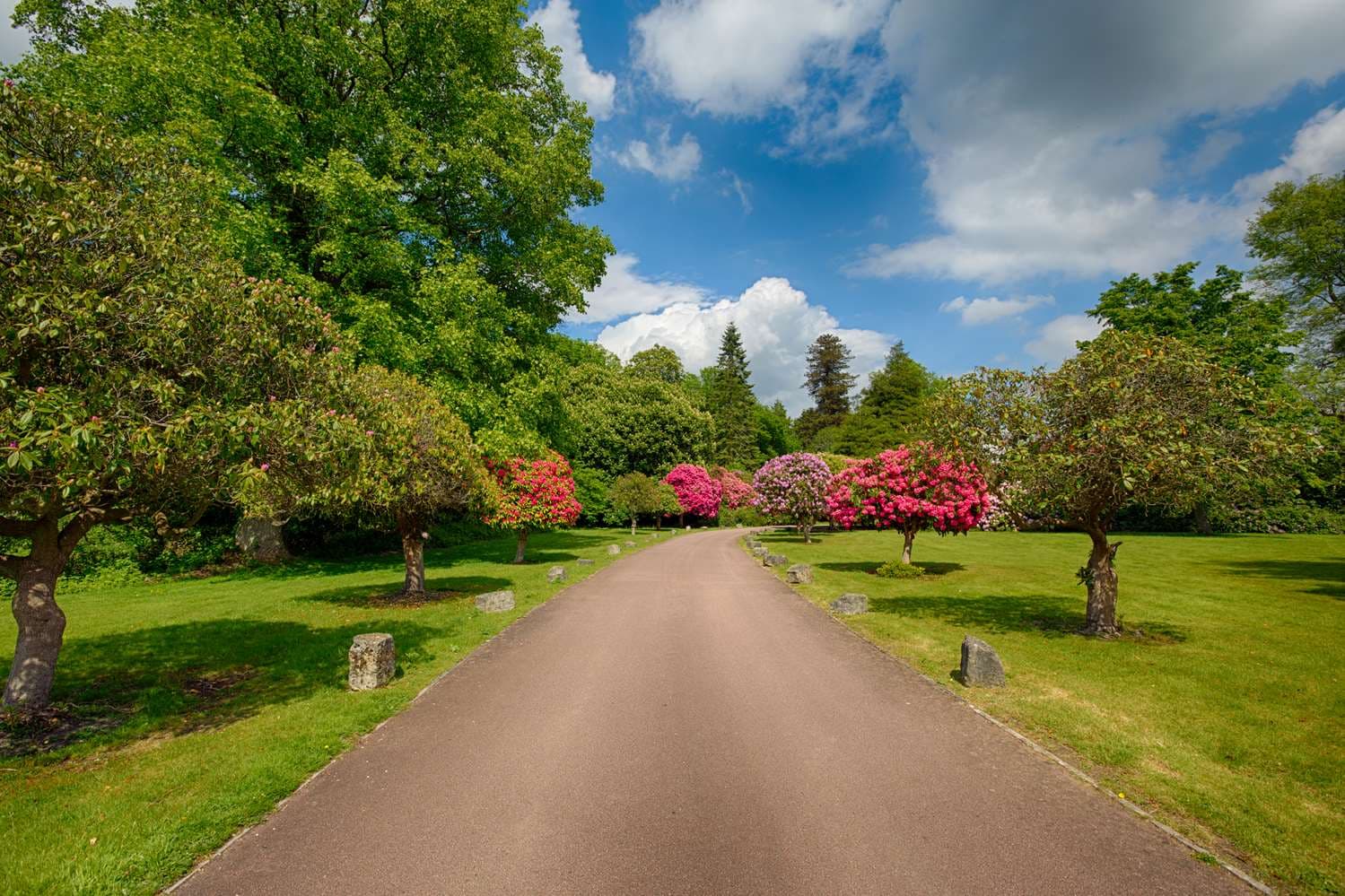 Best Western Chilworth Manor Hotel 5