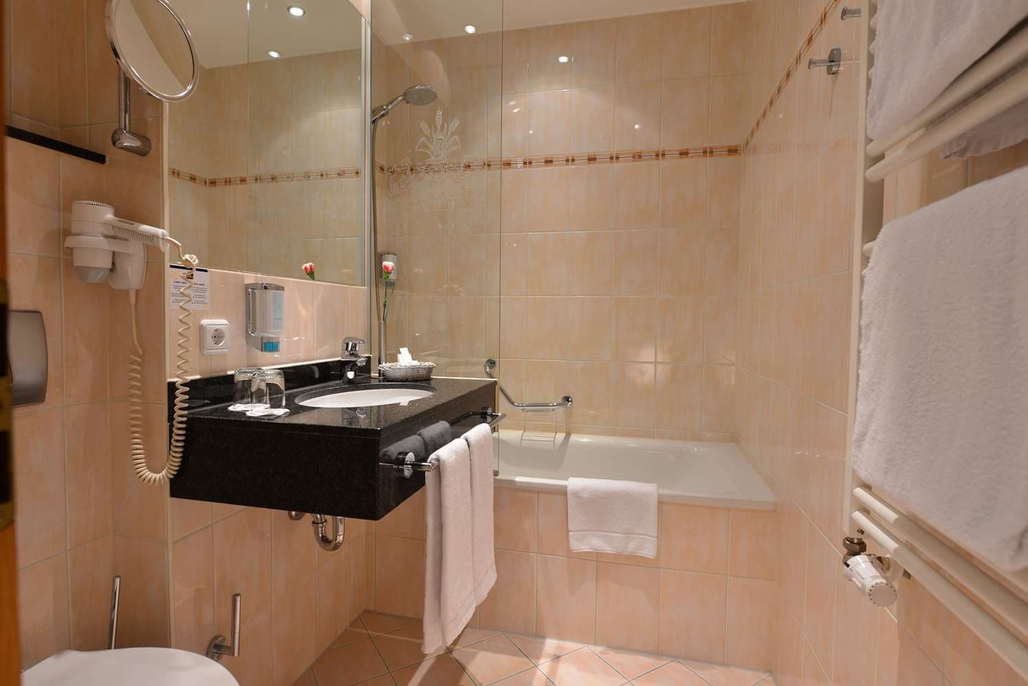 Best Western Plus Hotel Erb 5