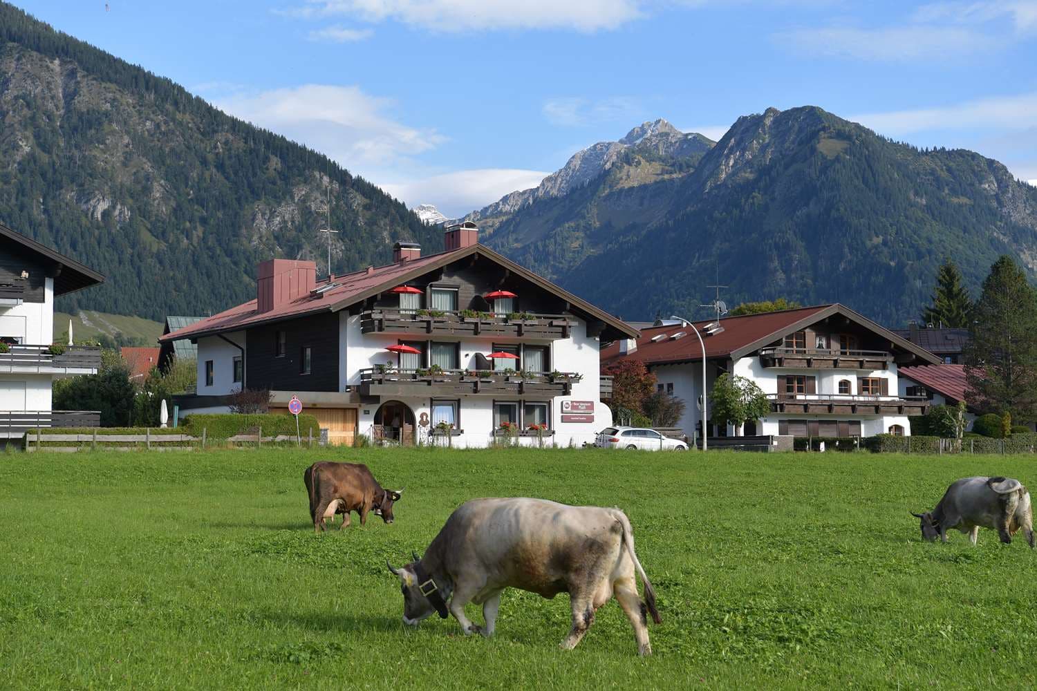 Alpenhof Oberstdorf Hotel & Spa, BW Signature Collection 5