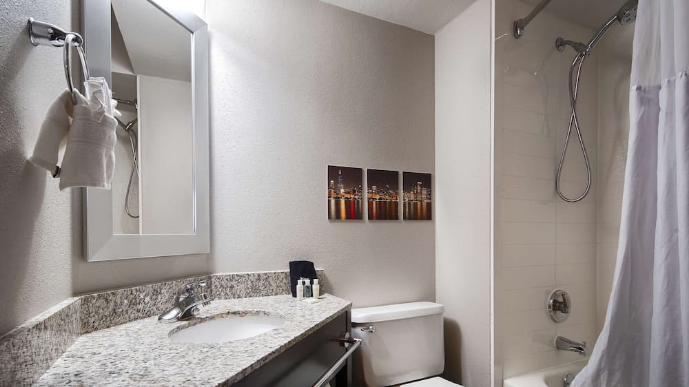 Best Western O'Hare/Elk Grove Hotel 5