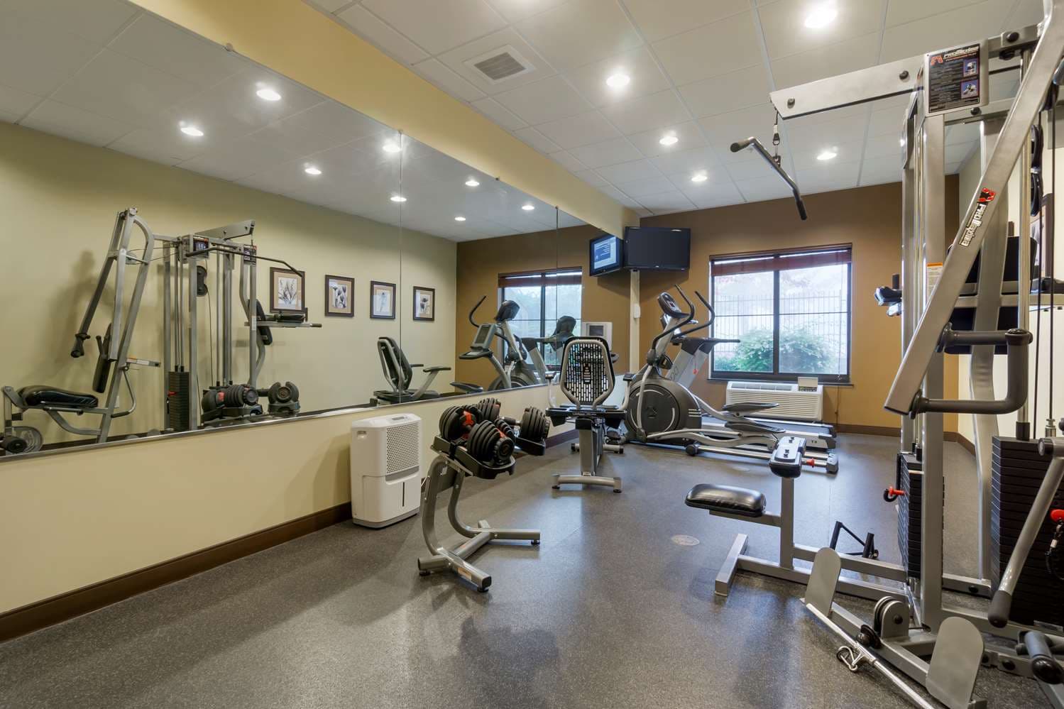 Best Western Plus Lacey Inn & Suites 3