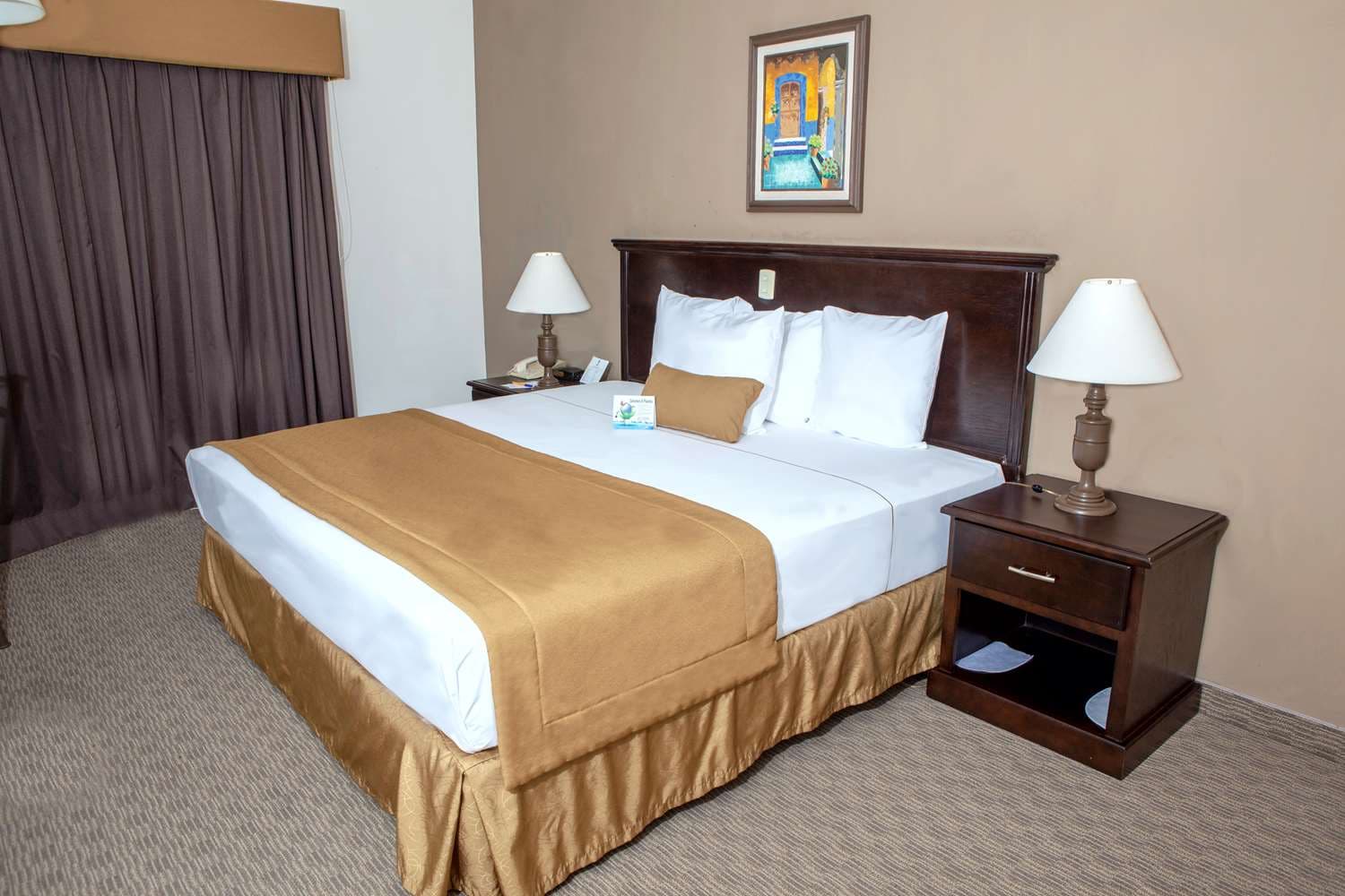 Best Western Hotel Posada Del Rio Express 5