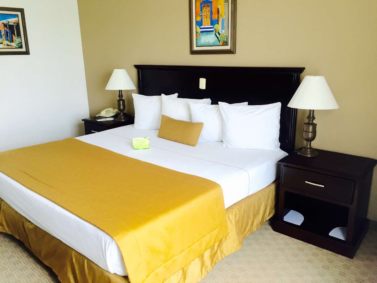 Best Western Hotel Posada Del Rio Express 4